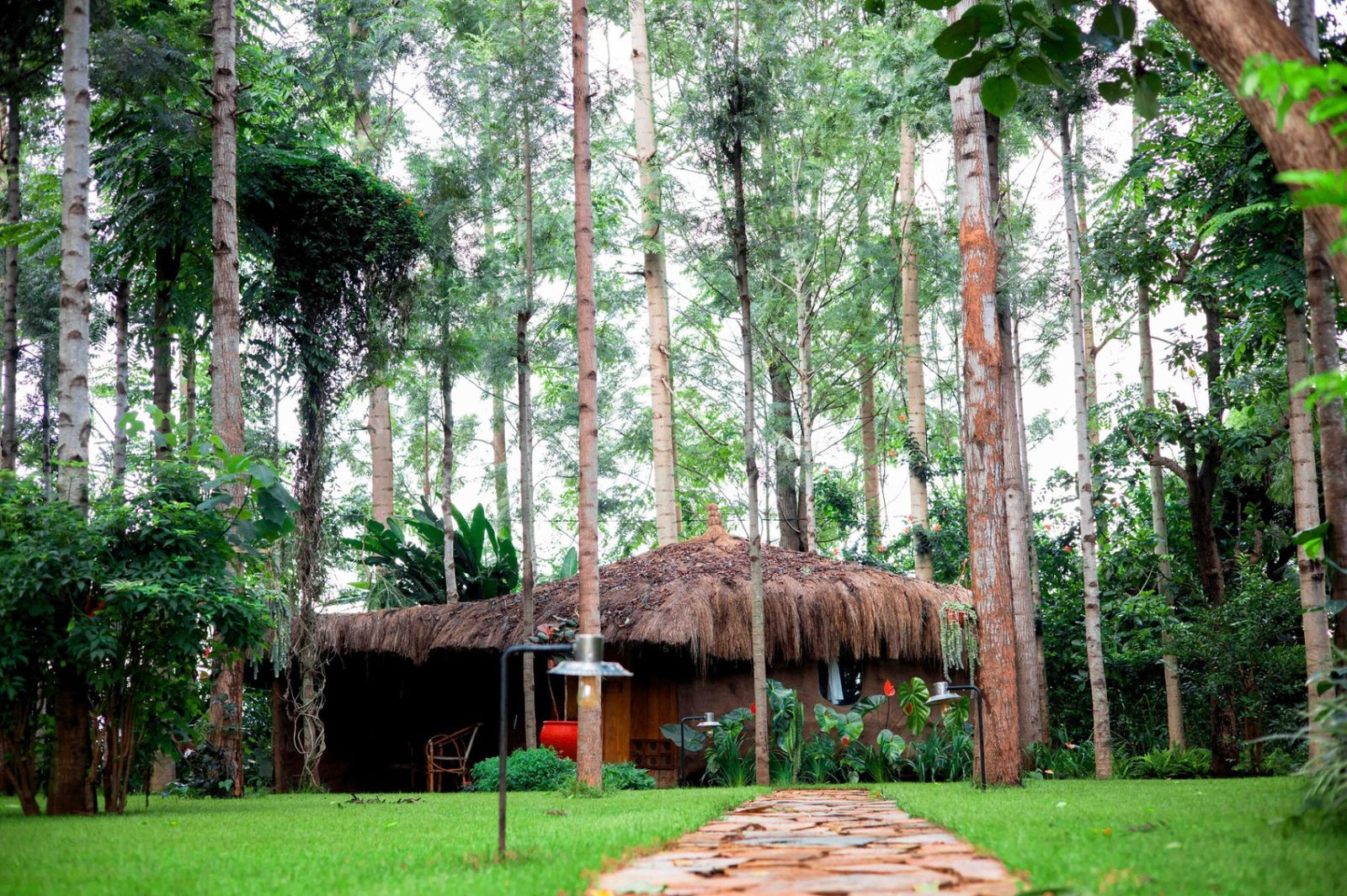 Thatched cottage surrounded by tall forest trees at Mtoni River Lodge