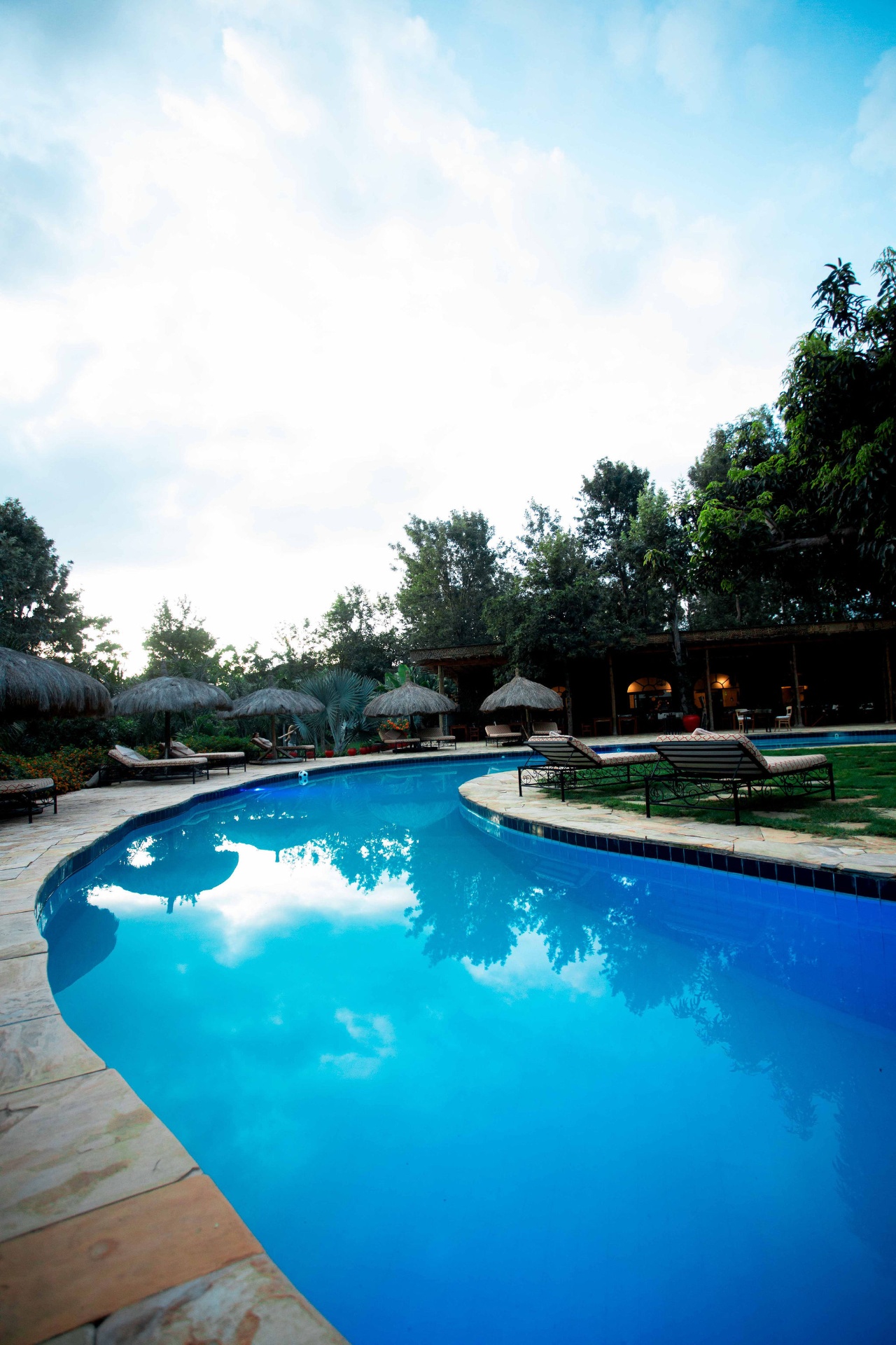 Curved swimming pool framed by thatched umbrellas and tropical greenery at Mtoni River Lodge