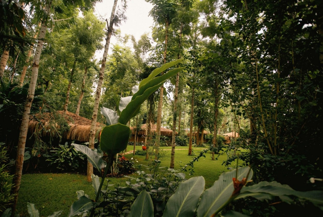 Garden view from the Standard River Room