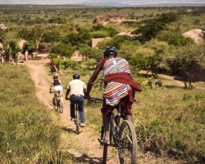 Mountain Bike